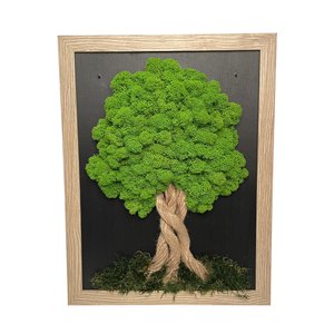 Mechový obraz ve světle hnědém rámu 34 x 44 cm