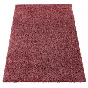 Moderní koberec SHAGGY v červené barvě Šířka: 80 cm | Délka: 150 cm