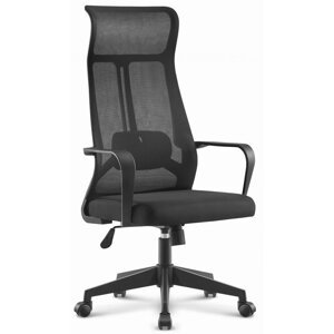Ergonomická herní židle HC-1025 - různé barvy Černá