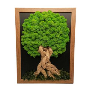 Elegantní hodiny ze dřeva WOOD OAK 2